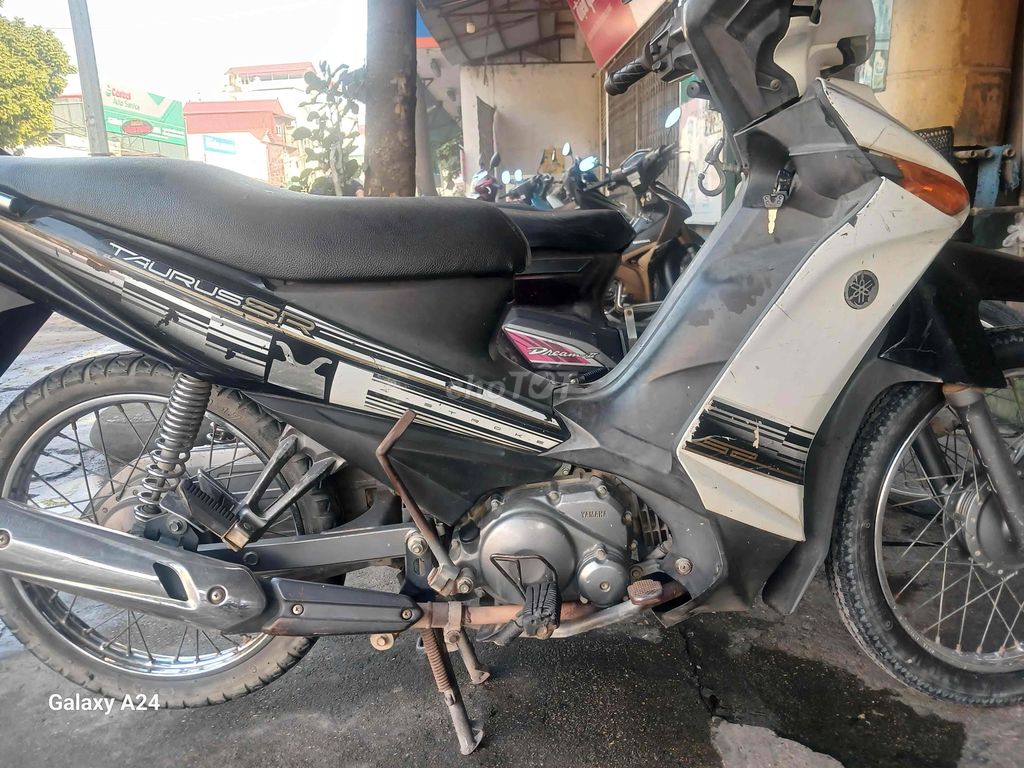 Yamaha Taurus 2009 - ảnh 4