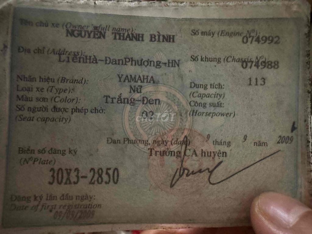 Yamaha Taurus 2009 - ảnh 5