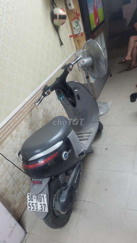 Xe m 2015 - ảnh 1