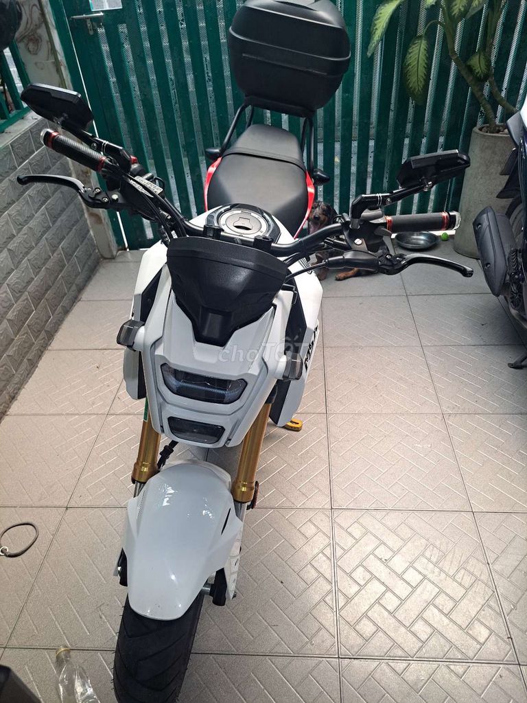 Honda Msx 2021 - ảnh 1