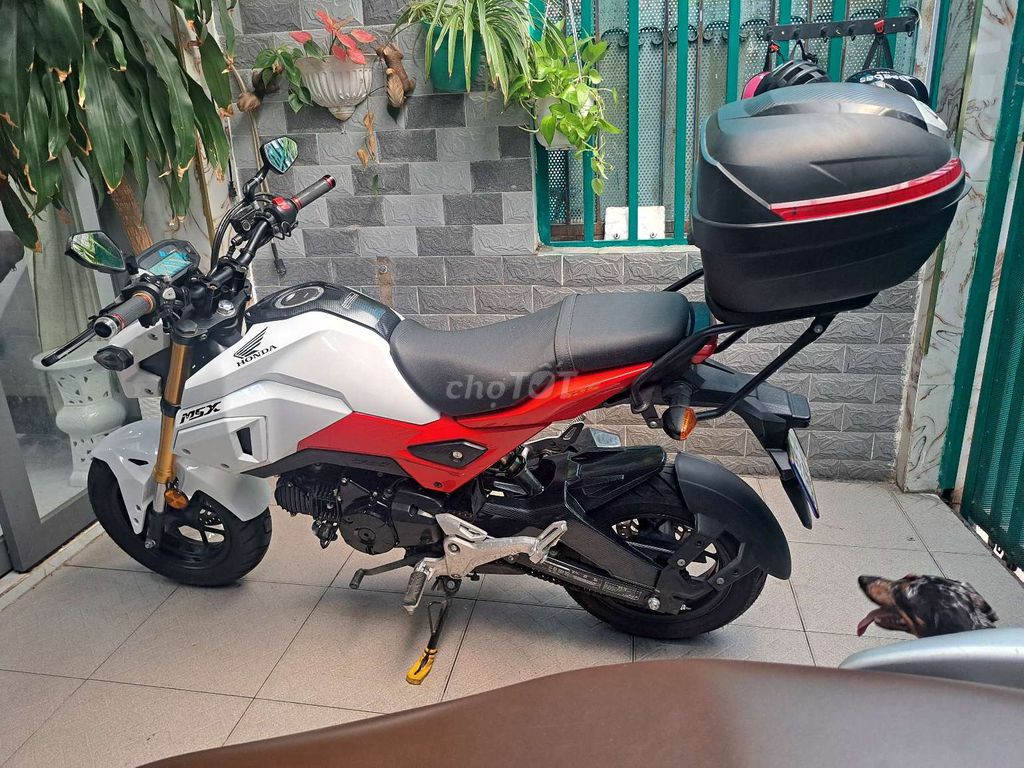 Honda Msx 2021 - ảnh 2