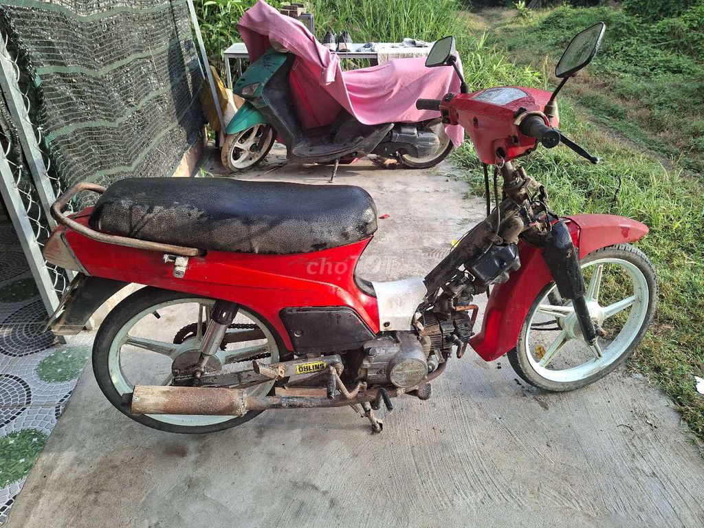 Max C 2011 - ảnh 1