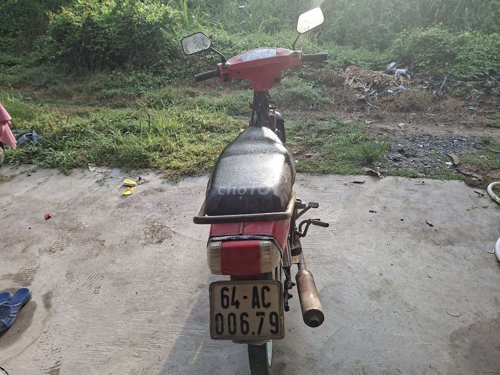 Max C 2011 - ảnh 2