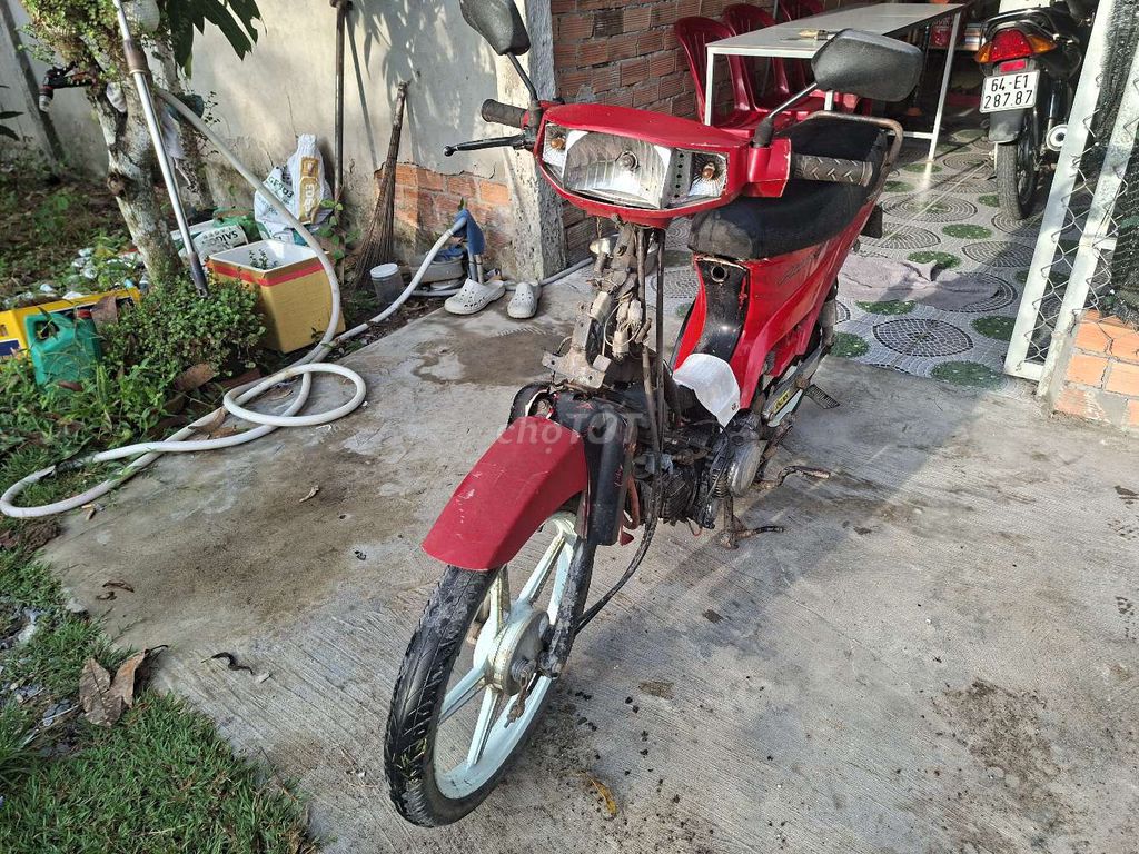 Max C 2011 - ảnh 4
