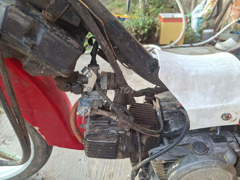 Max C 2011 - ảnh 5