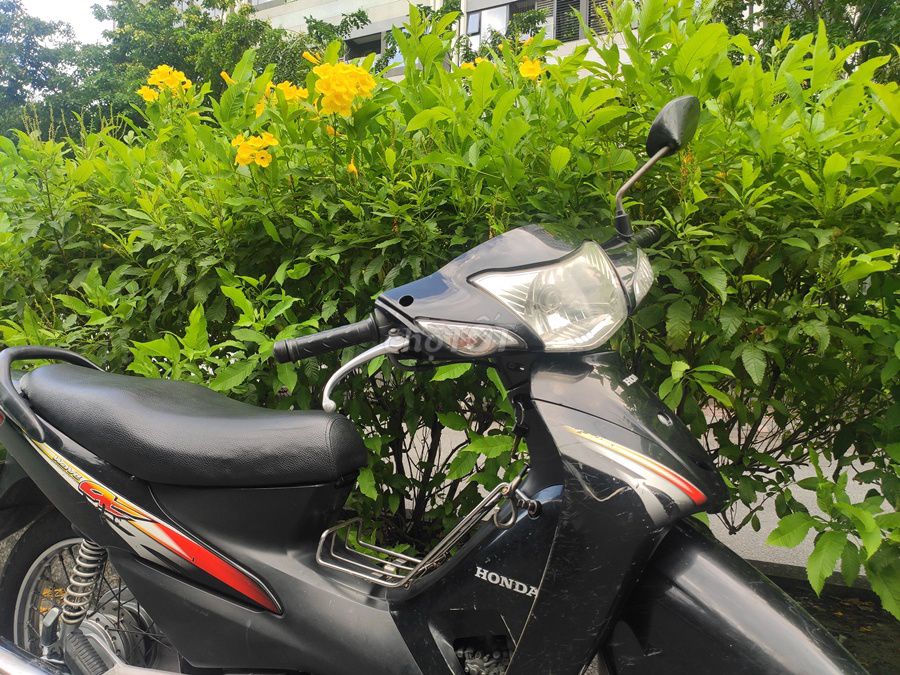 Honda 2009 - ảnh 3