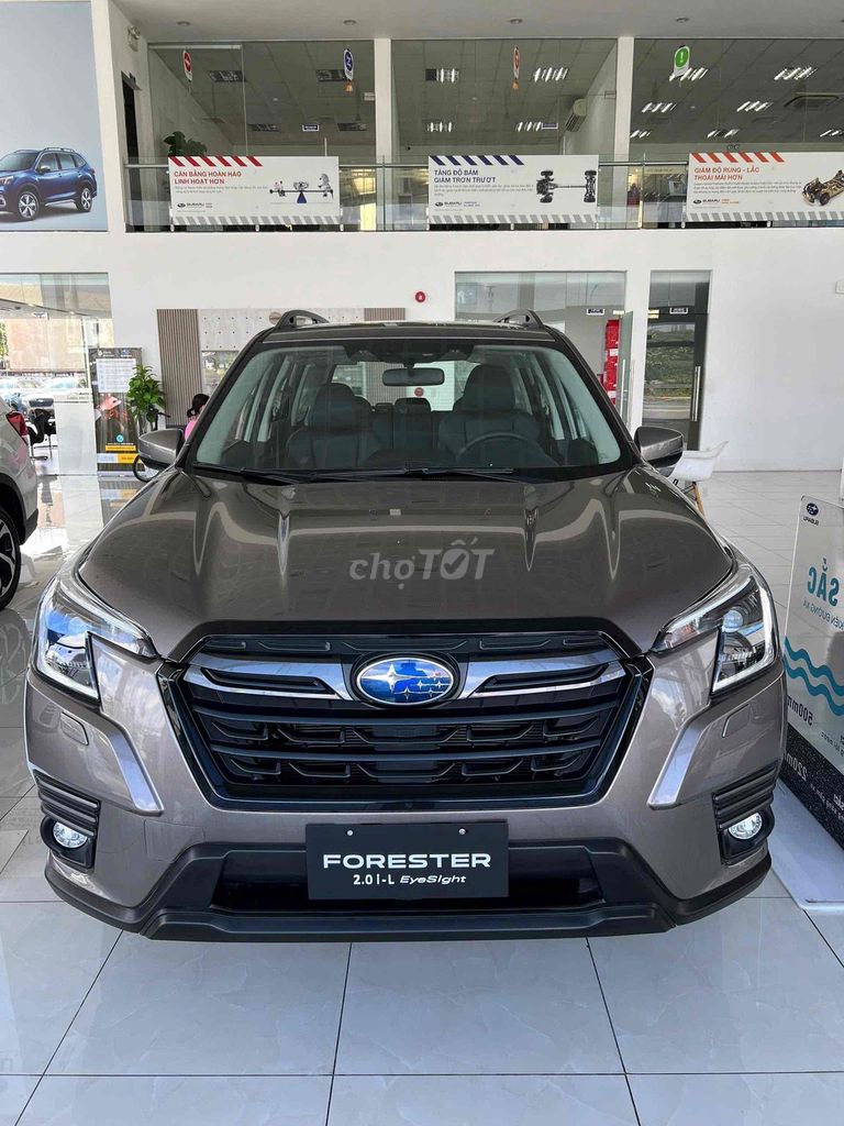 Subaru Forester - ảnh 1
