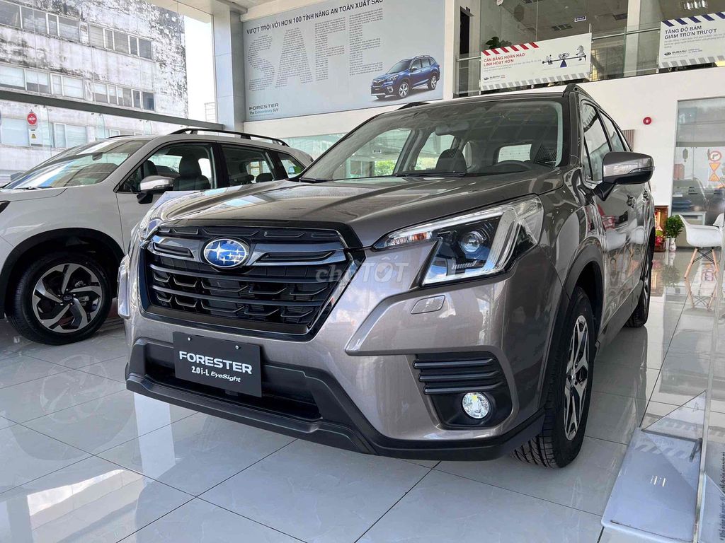 Subaru Forester - ảnh 2