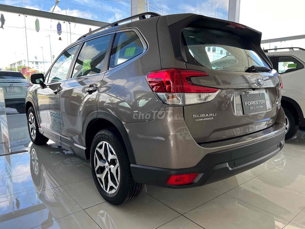 Subaru Forester - ảnh 3