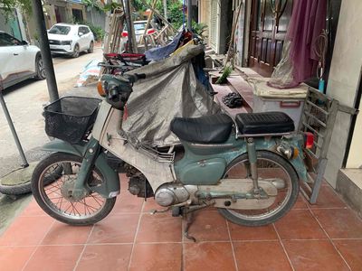 Honda Cub 1981 - ảnh 1