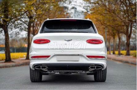 Bentley 2020 - ảnh 2