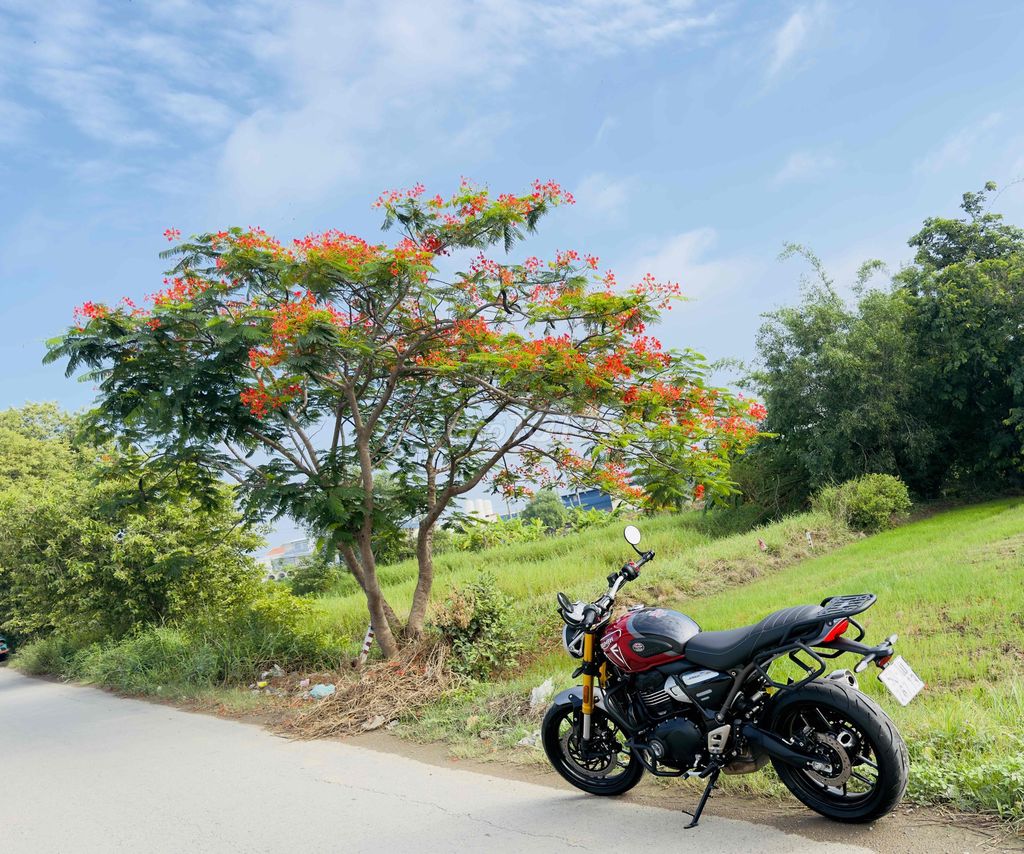Triumph Speed 2026 - ảnh 1