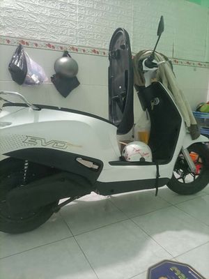 Xe m 2026 - ảnh 1