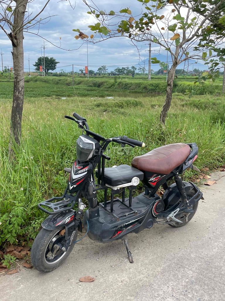 thanh l 2023 - ảnh 1