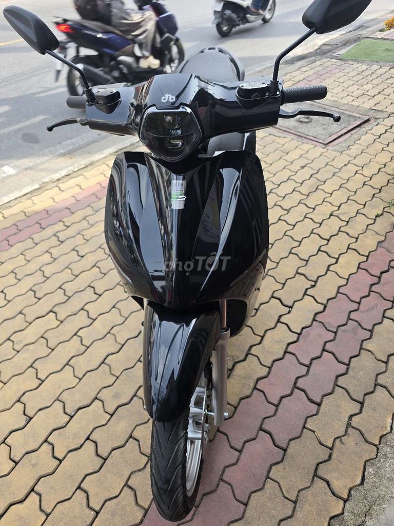 Xe Quantum 2026 - ảnh 1