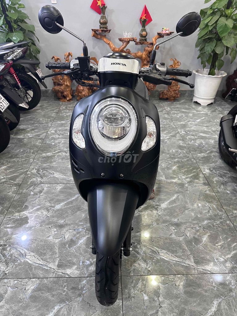 Honda Scoopy 2024 - ảnh 1
