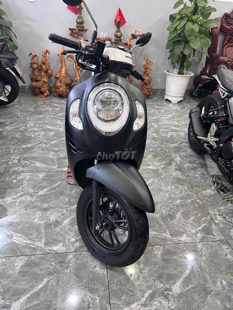 Honda Scoopy 2024 - ảnh 3