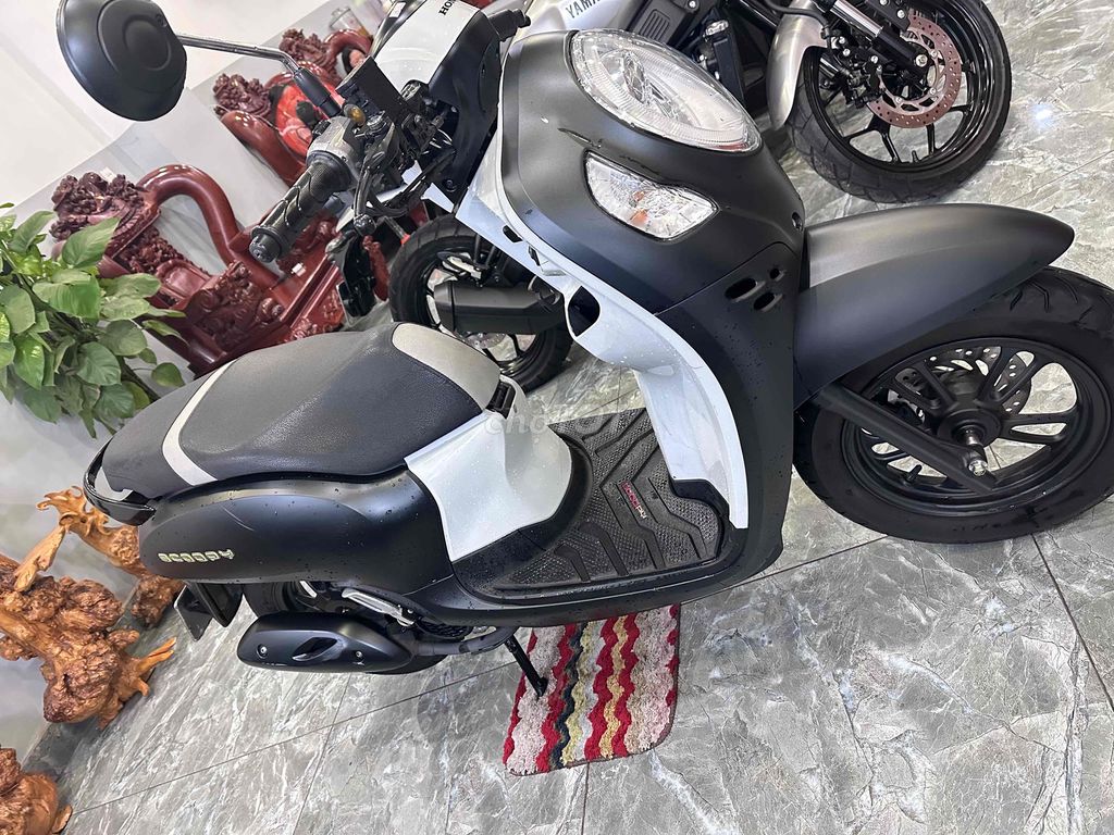 Honda Scoopy 2024 - ảnh 4