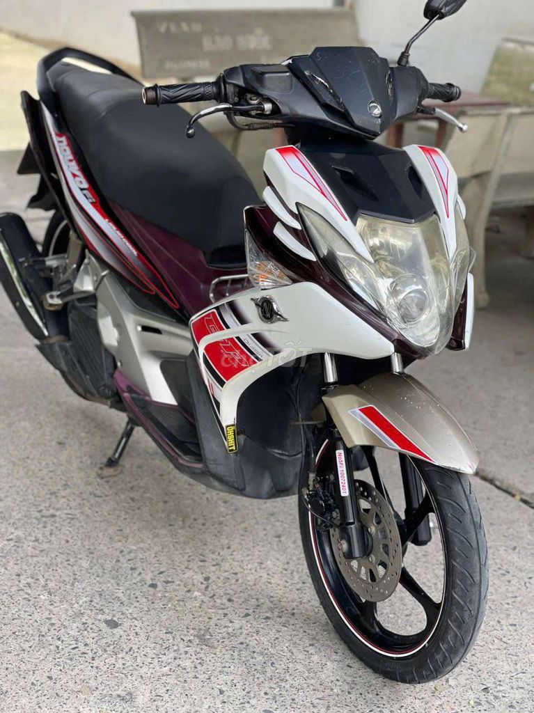 Novo 2013 - ảnh 2