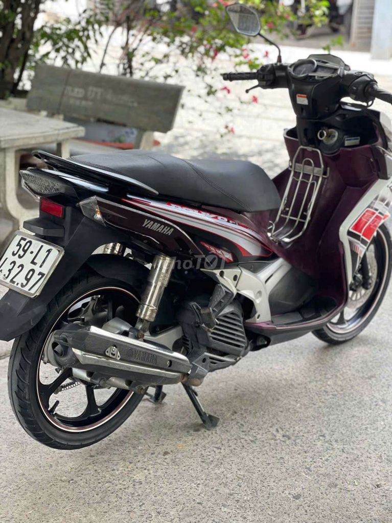 Novo 2013 - ảnh 3