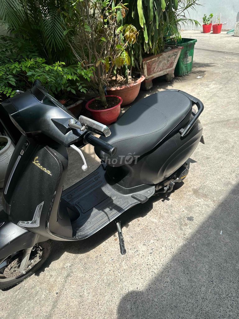 Xe m 2024 - ảnh 3