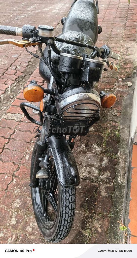 Suzuki m 2009 - ảnh 1