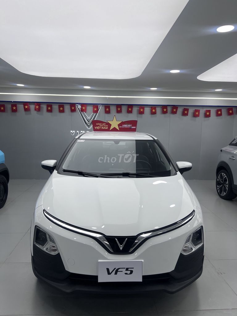 VinFast - ảnh 1