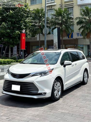 Toyota Sienna 2021 - ảnh 1