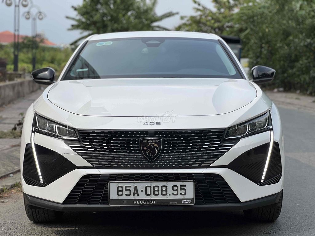 Peugeot 2008 2008 - ảnh 1