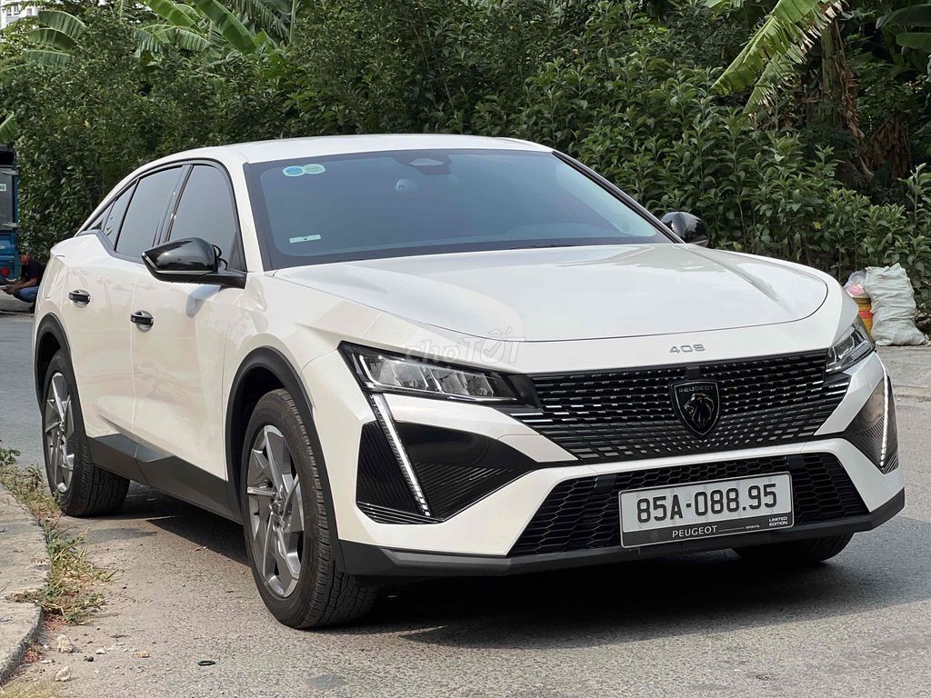 Peugeot 2008 2008 - ảnh 2