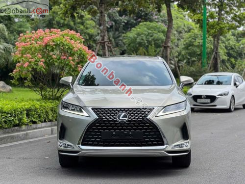 Lexus RX 300 2021 - ảnh 1
