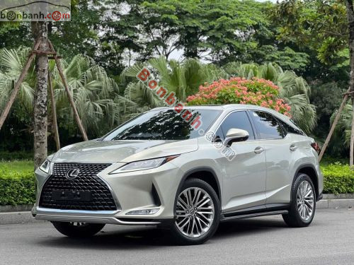 Lexus RX 300 2021 - ảnh 2