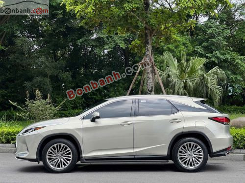 Lexus RX 300 2021 - ảnh 3