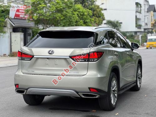Lexus RX 300 2021 - ảnh 5