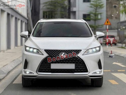 Lexus RX 300 2021 - ảnh 1
