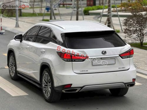 Lexus RX 300 2021 - ảnh 3