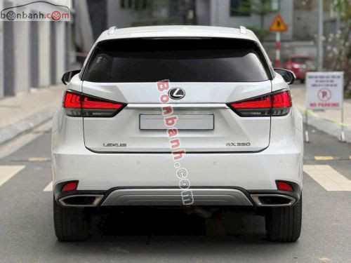 Lexus RX 300 2021 - ảnh 4