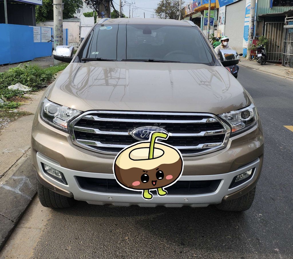 Ford Everest 2019 - ảnh 1