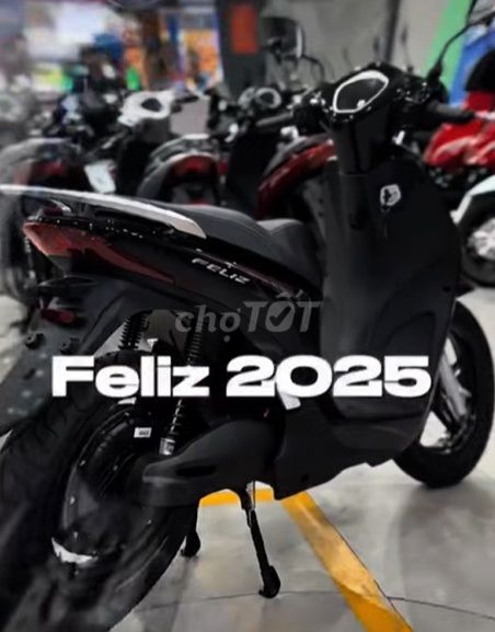 FELIZ gi 2026 - ảnh 1