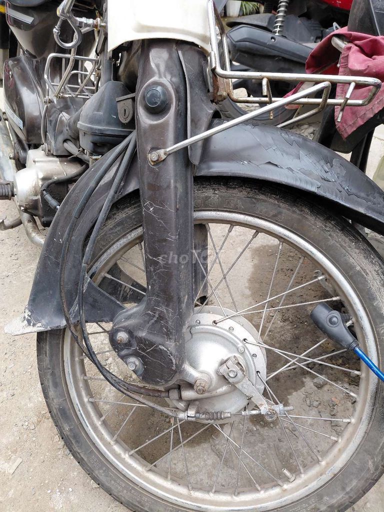 Honda Cub 1981 - ảnh 3
