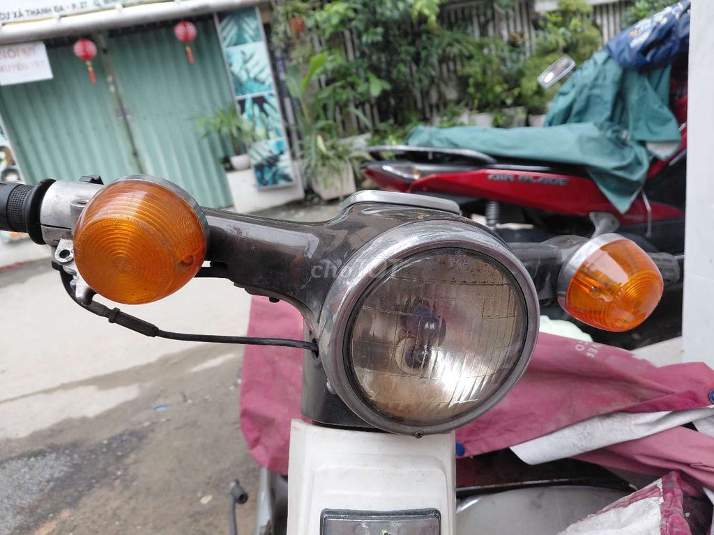 Honda Cub 1981 - ảnh 4