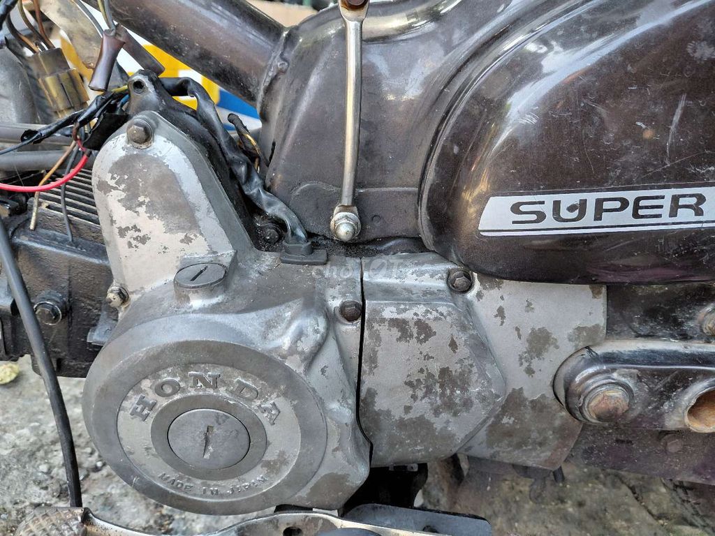 Honda Cub 1981 - ảnh 5