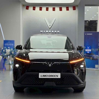 VinFast Limo Green - ảnh 1