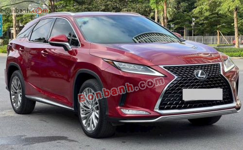 Lexus RX 300 2021 - ảnh 2