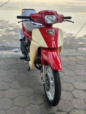 Xipo 1999 - ảnh 1