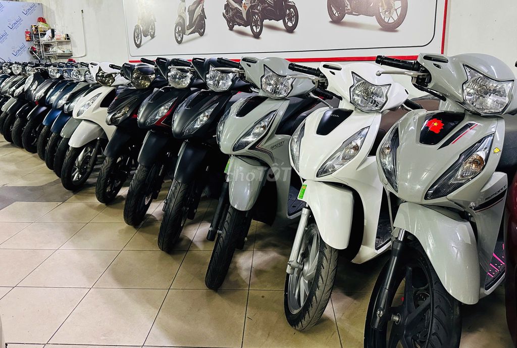 XE M 2022 - ảnh 1