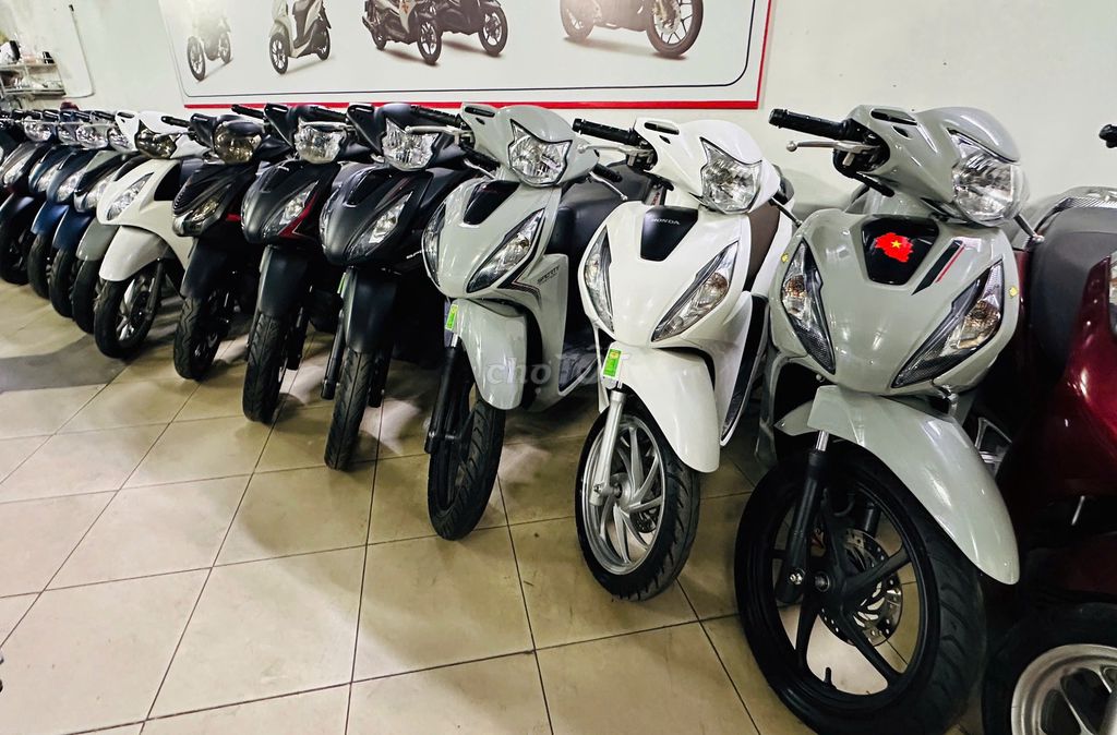 XE M 2022 - ảnh 2