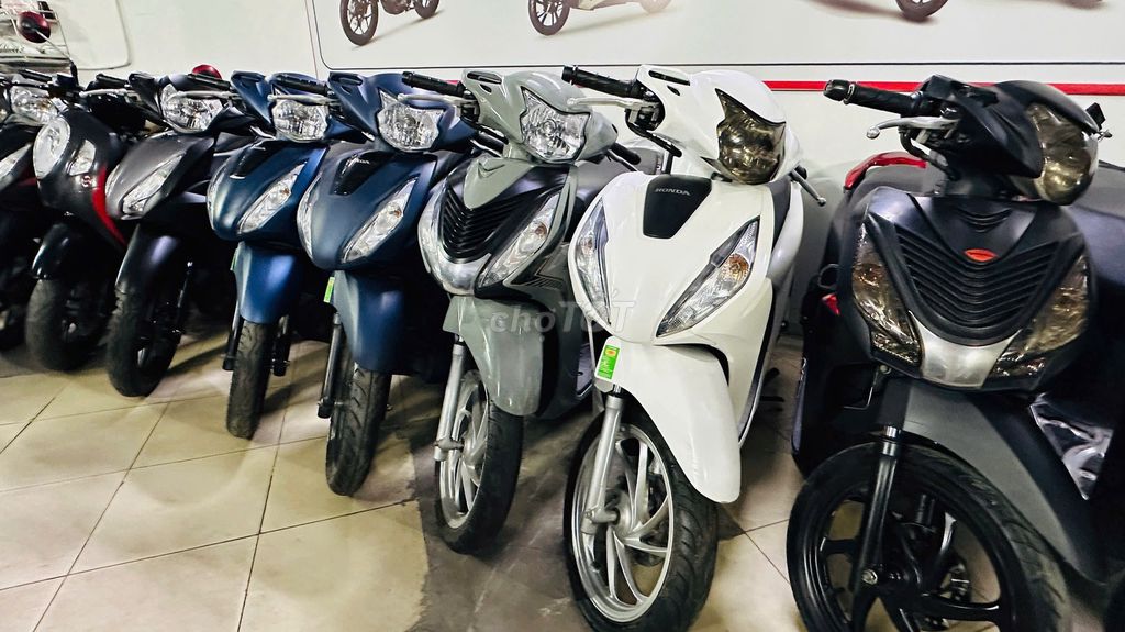 XE M 2022 - ảnh 3