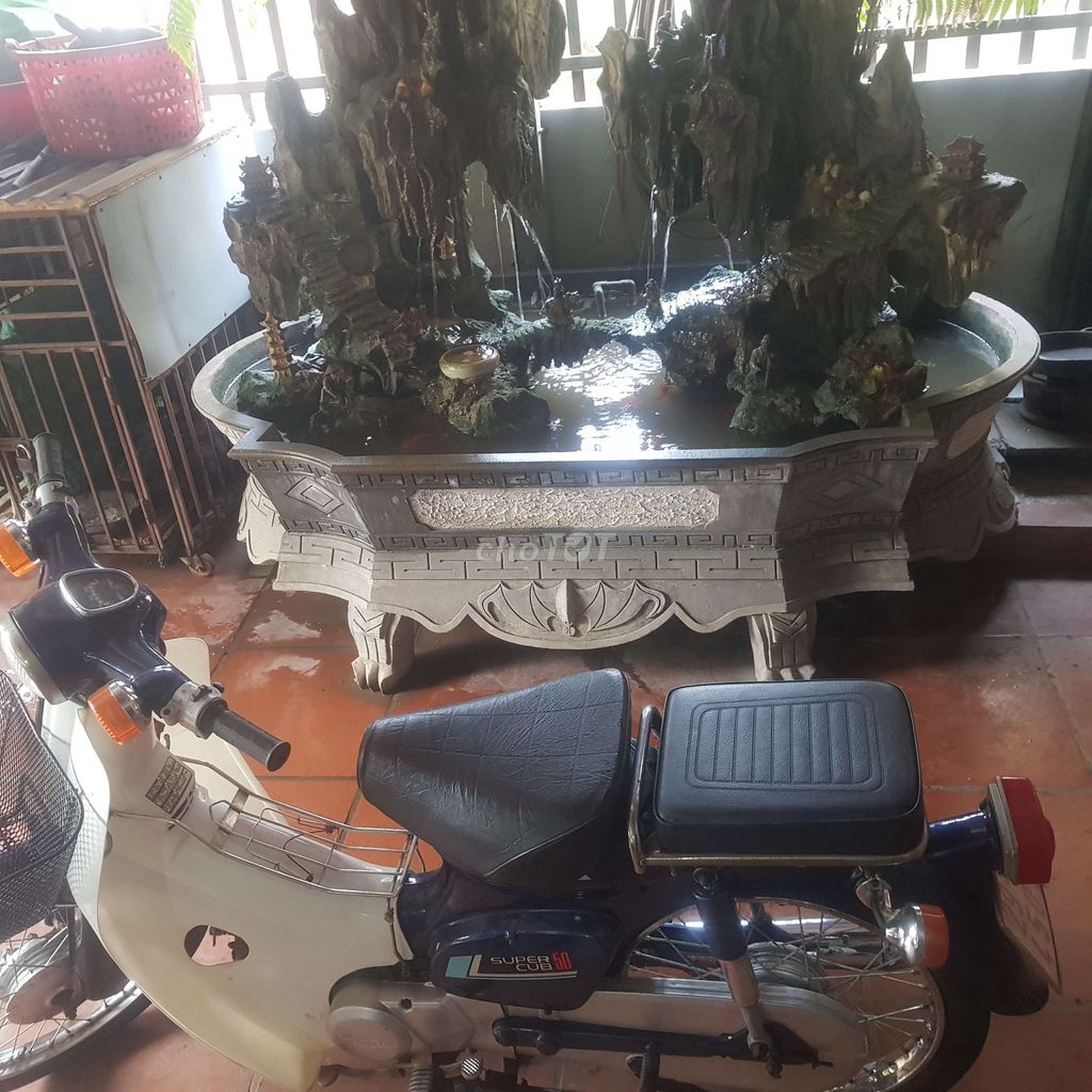 Honda Super 1995 - ảnh 4