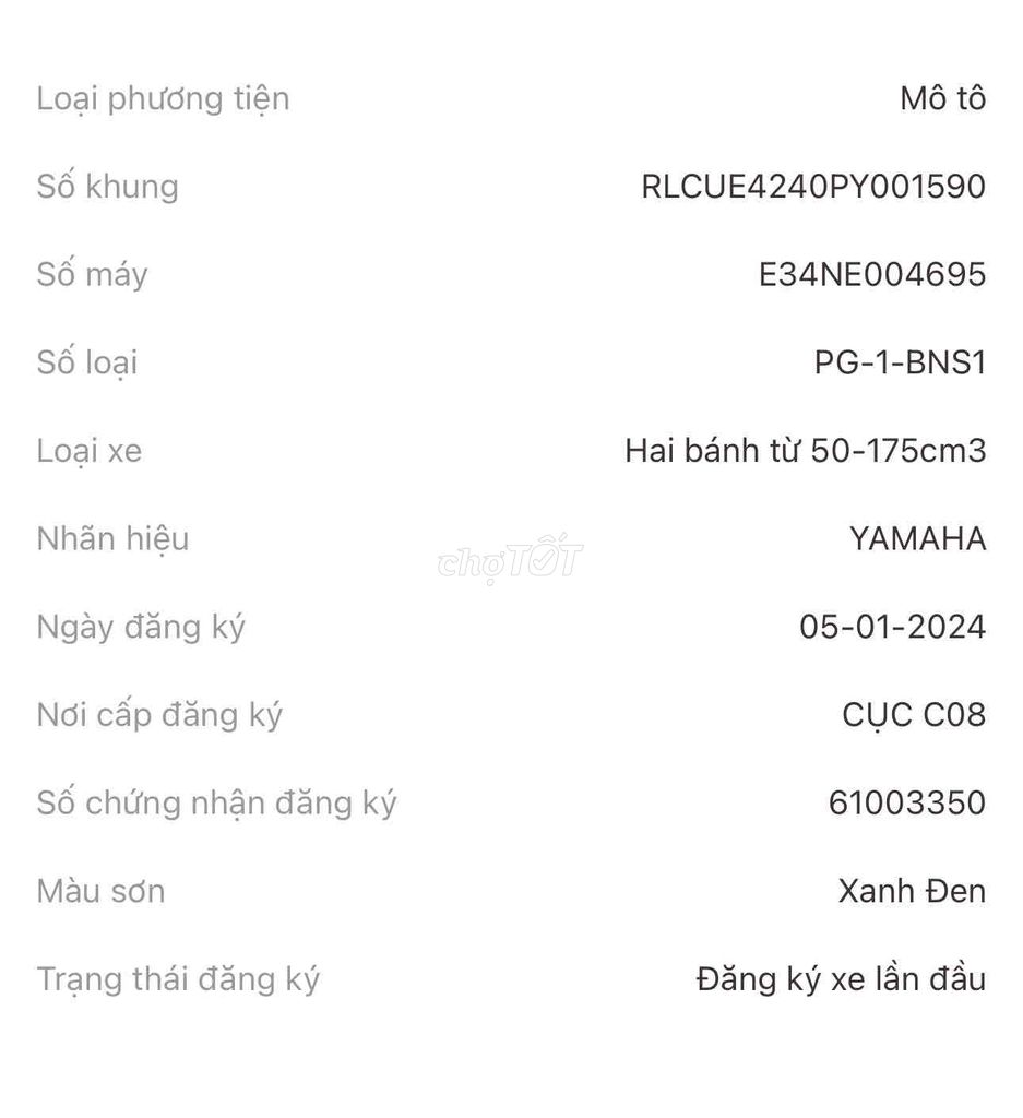 Yamaha PG 2024 - ảnh 3